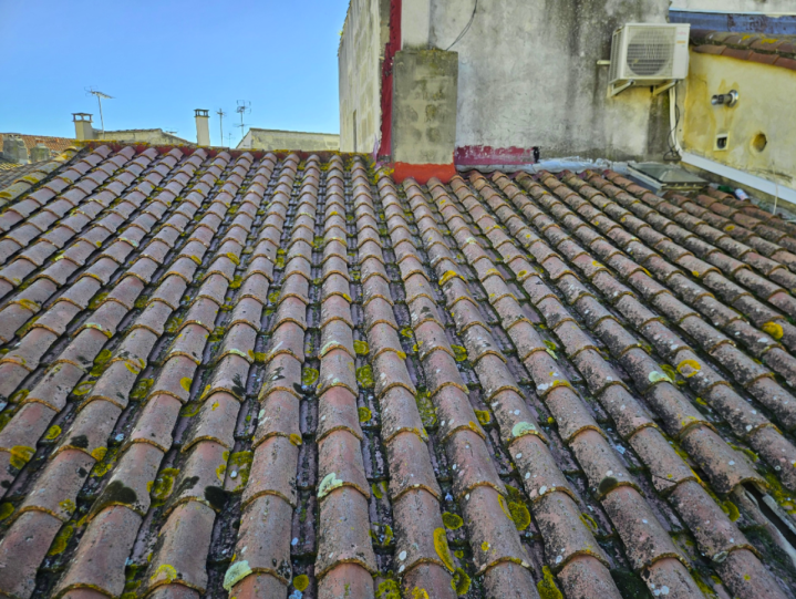 Couvreur - Arles